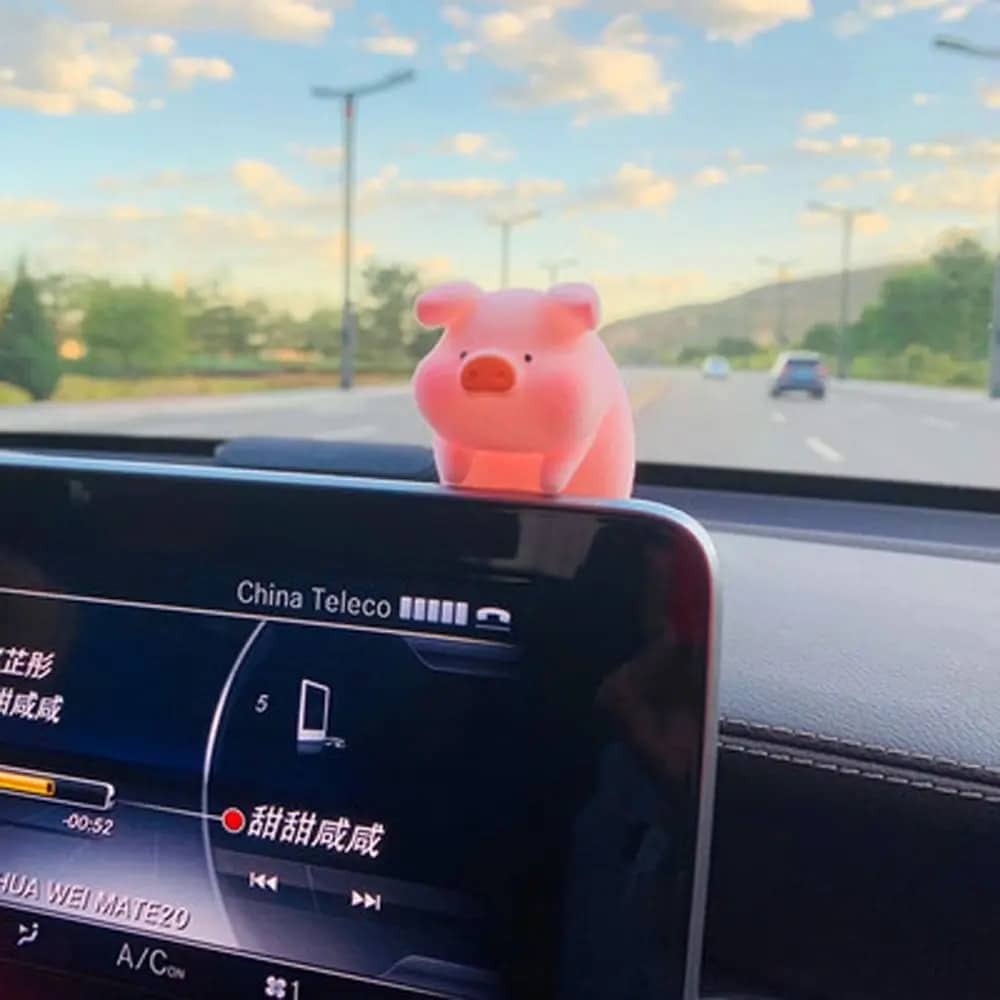 Dashboard Piggy Ornaments