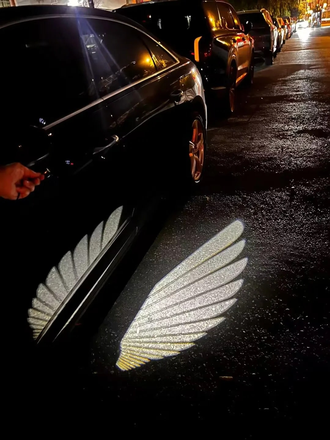 Angel Wing Welcome Light